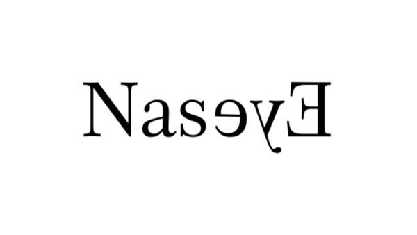 Naseye logo
